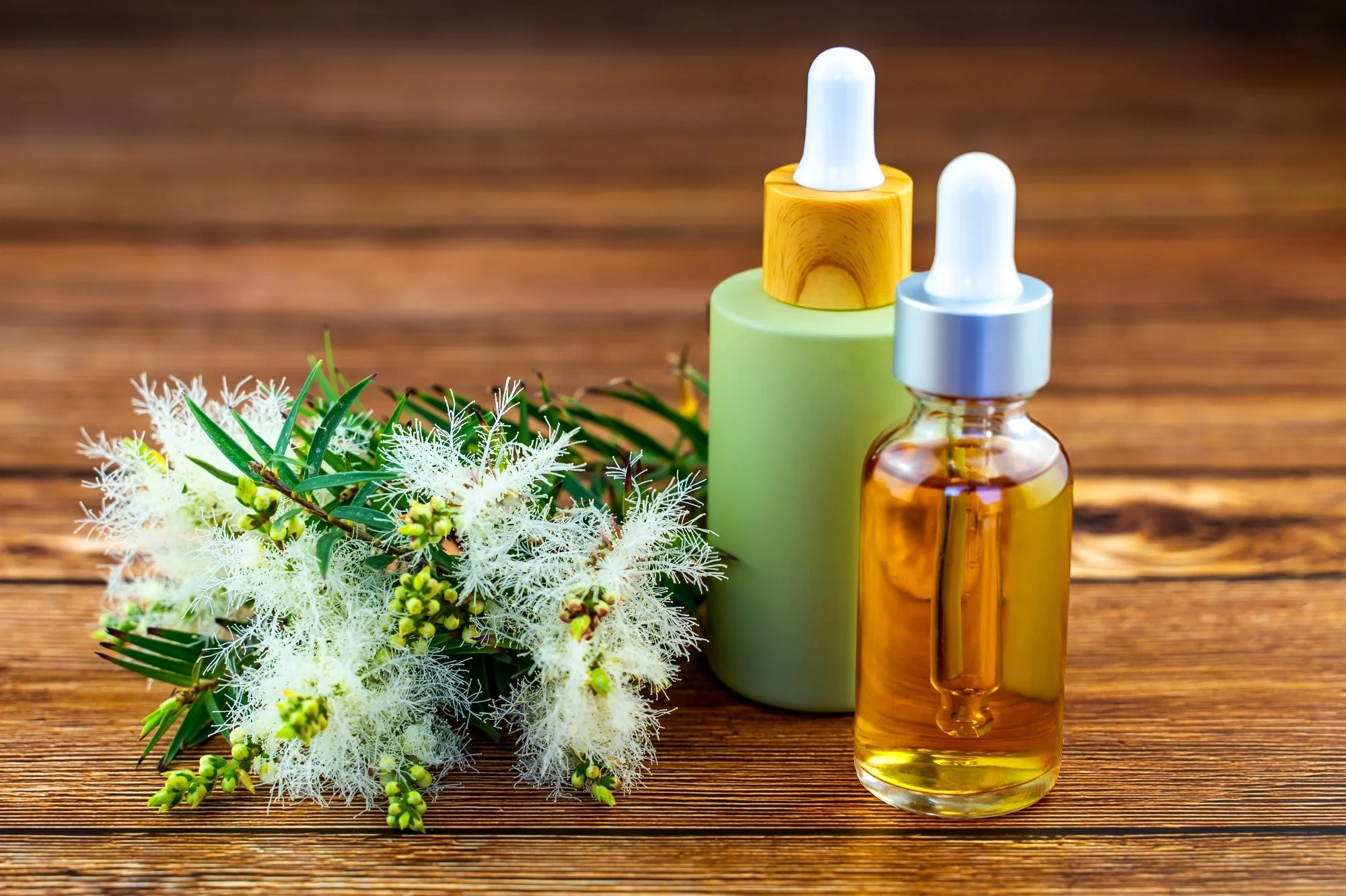RevaNail Ingredients