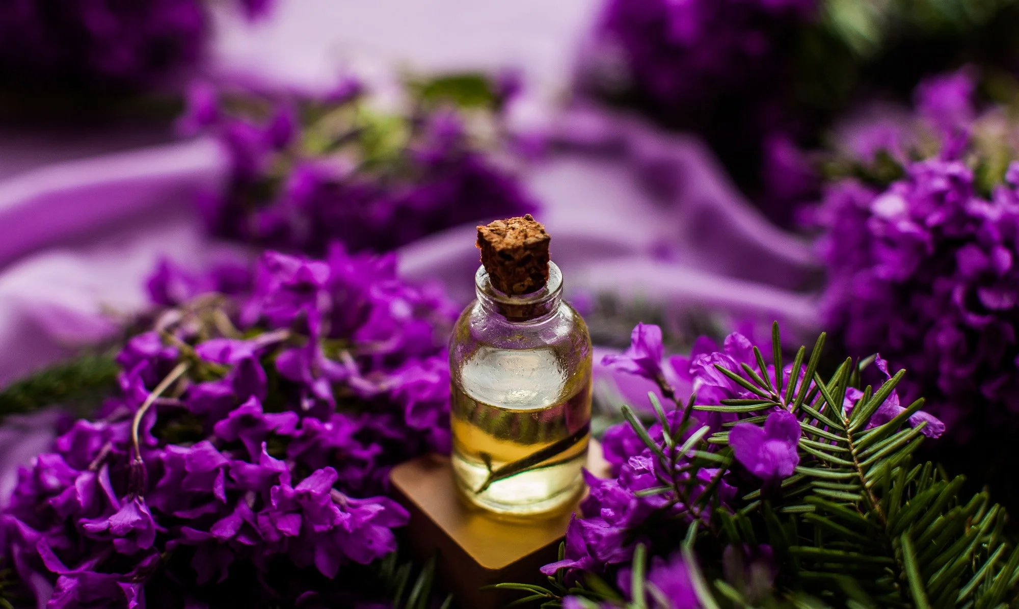 RevaNail Ingredients