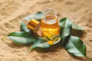 RevaNail Ingredients